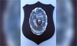 Carabinieriabzeichen